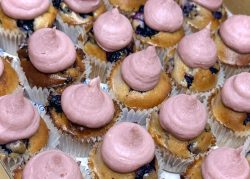IWD mini blueberry cupcake (box of 25)